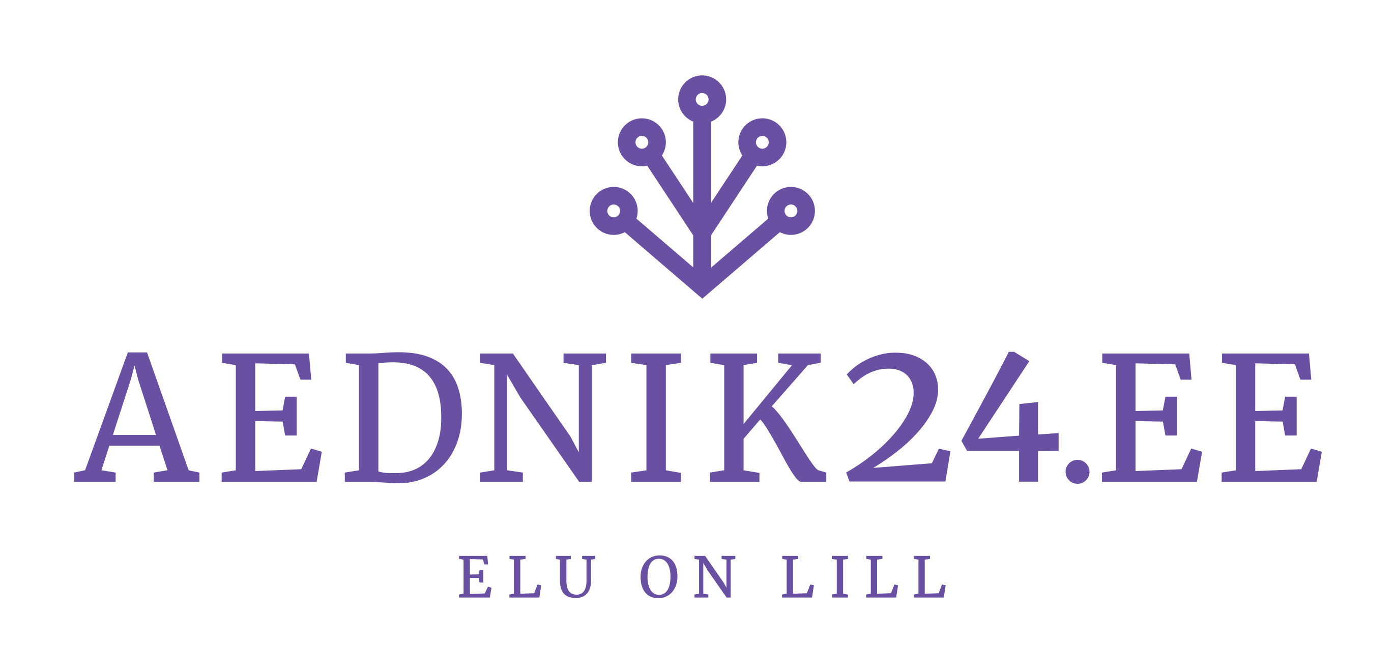 aednik24_logo1